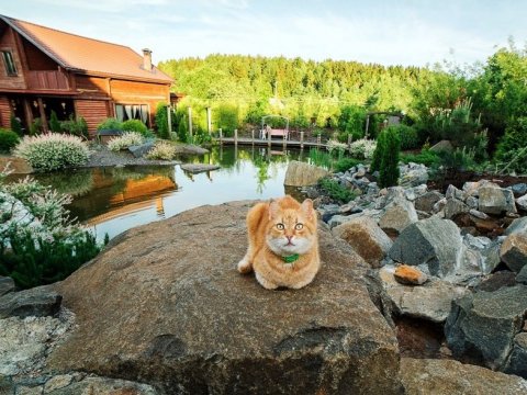 Коттедж № 49 ( с водоёмом )