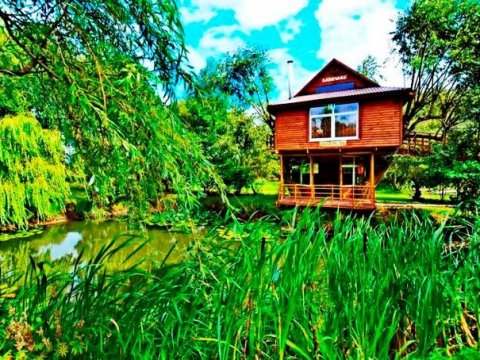 Коттедж № 141 ( Домик на дереве )