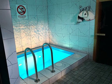 Коттедж № 102 (бассейн, бильярд)